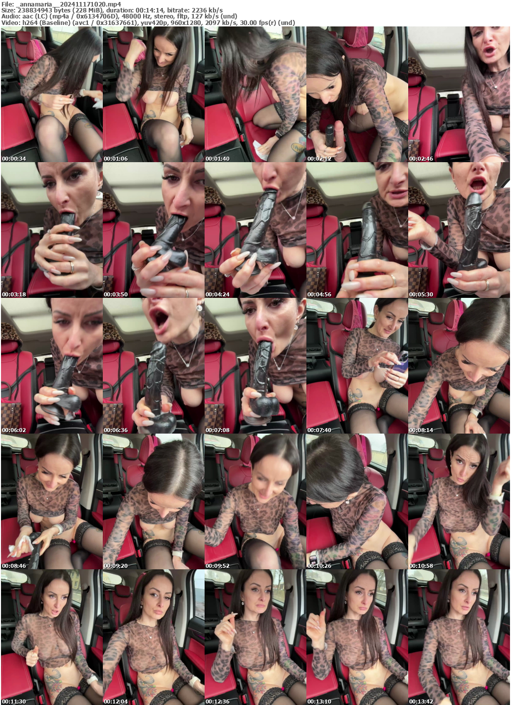 Preview thumb from _annamaria_ on 2024-11-17 @ bongacams