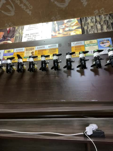 View or download file viktoriaastr on 2024-11-17 from bongacams