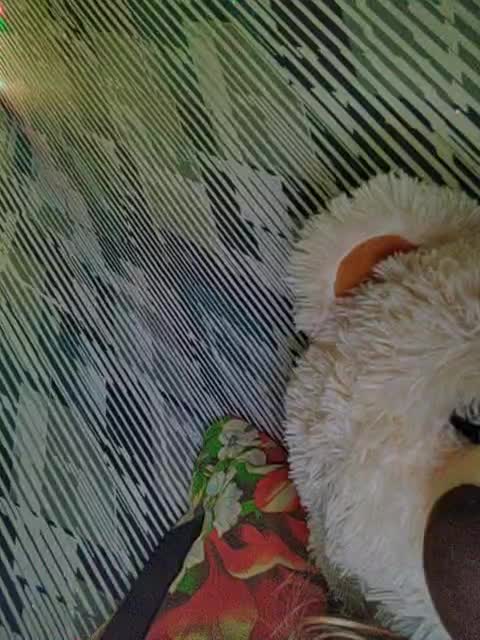 View or download file enyjoix on 2024-11-18 from bongacams