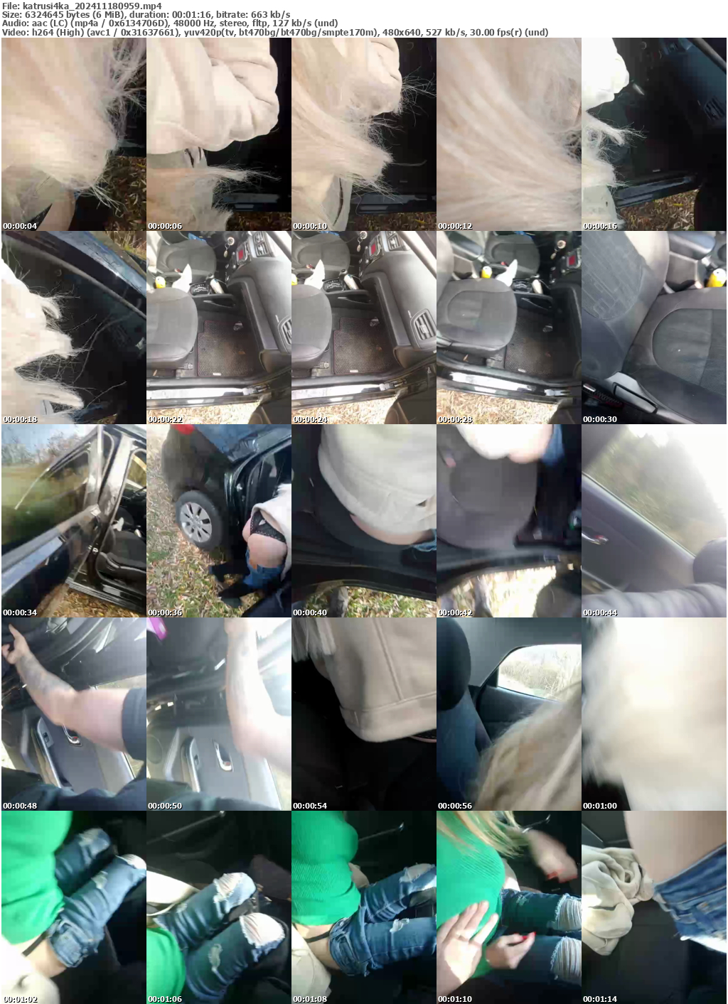 Preview thumb from katrusi4ka on 2024-11-18 @ bongacams