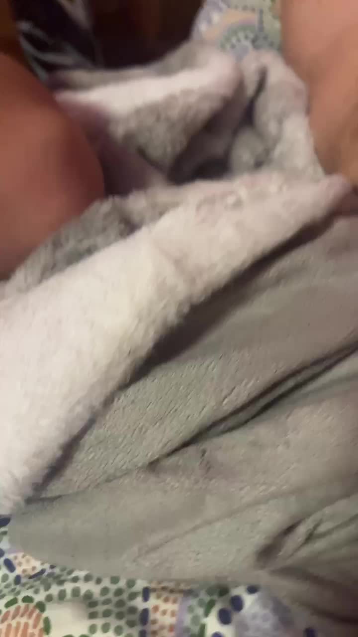 View or download file lateloverrr on 2024-11-18 from bongacams