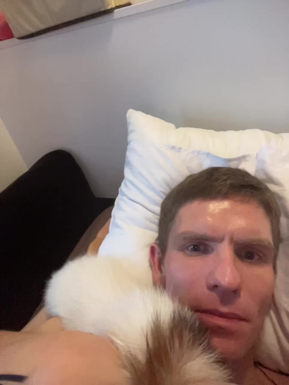 View or download file posledni1geroi1 on 2024-11-18 from bongacams