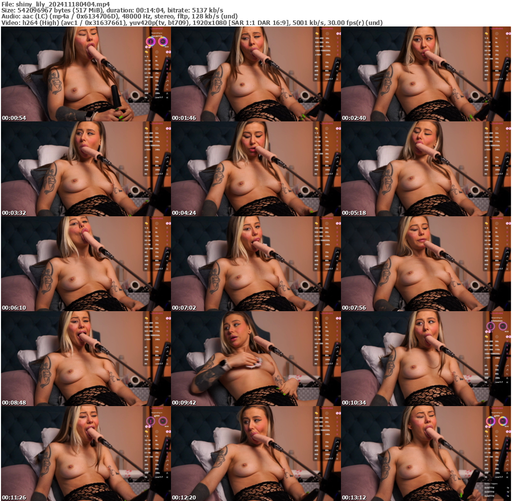 Preview thumb from shiny_lily on 2024-11-18 @ bongacams