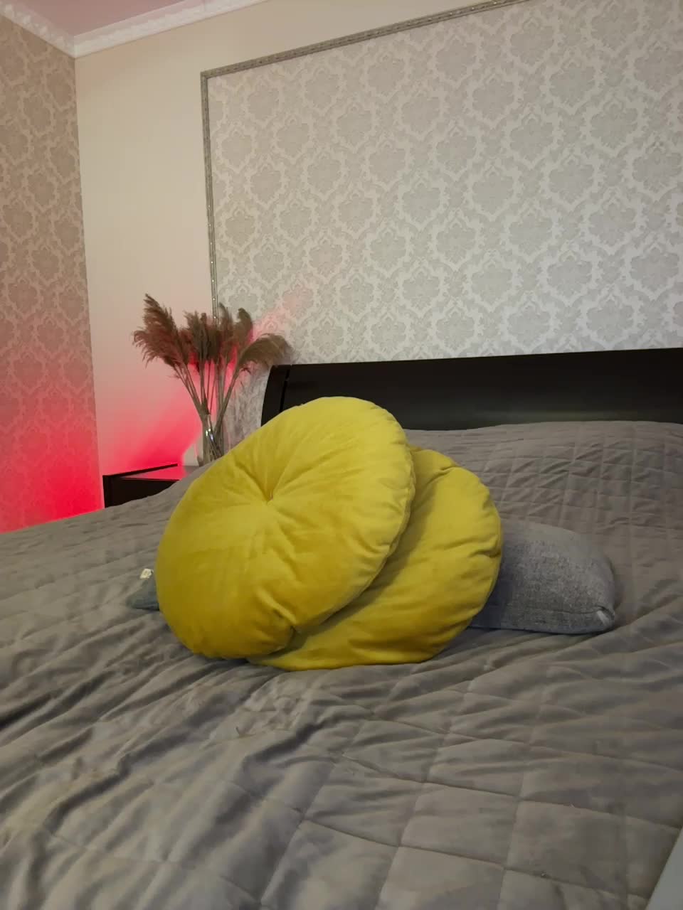 View or download file _vaka_ on 2024-11-19 from bongacams