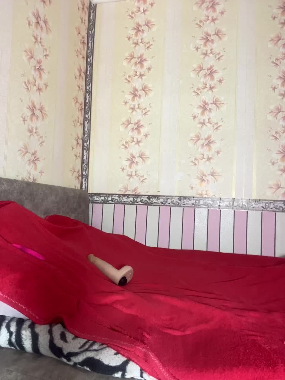 View or download file chemicalsexz on 2024-11-19 from bongacams