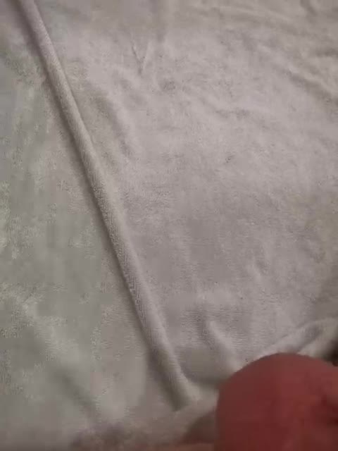 View or download file twobitrim on 2024-11-19 from bongacams