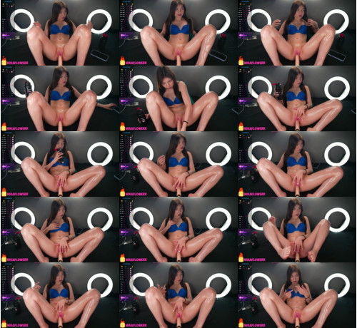 View or download file cream_baby on 2024-11-20 from bongacams