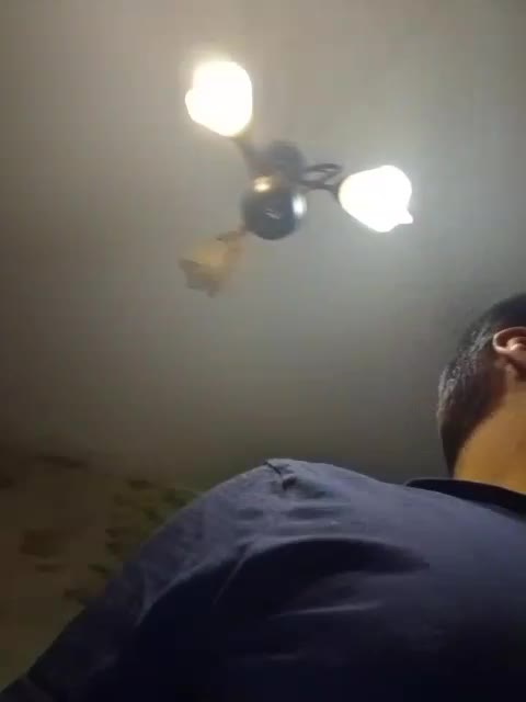 View or download file anna1202 on 2024-11-21 from bongacams