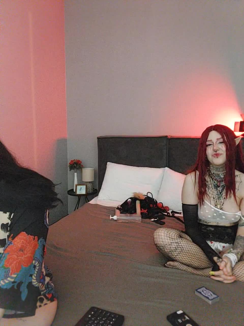 View or download file greyhouse on 2024-11-21 from bongacams