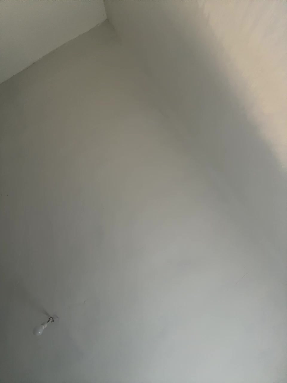 View or download file silvanas on 2024-11-21 from bongacams