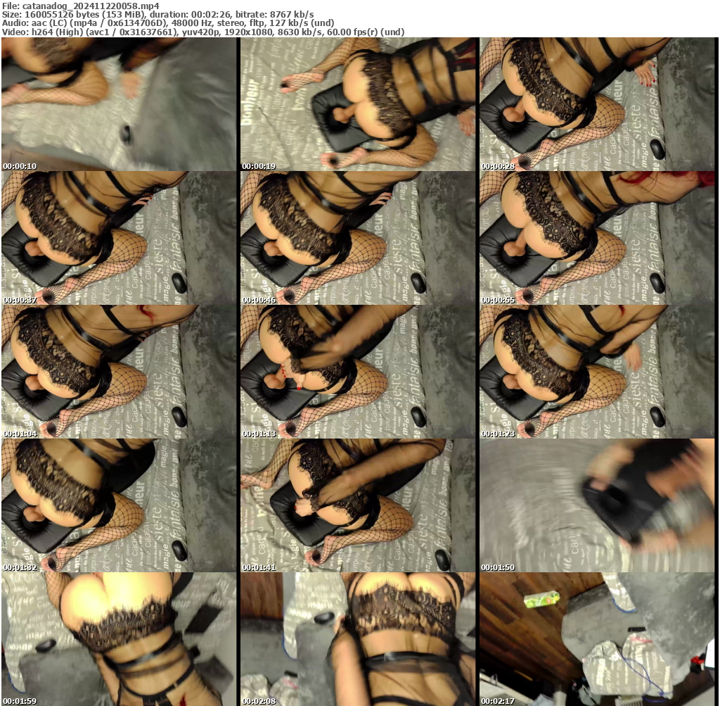 Preview thumb from catanadog on 2024-11-22 @ bongacams