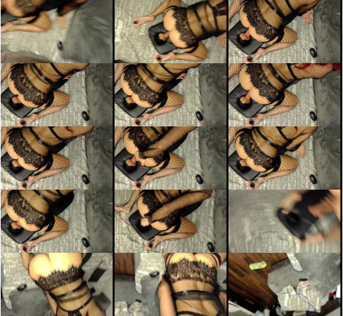 View or download file catanadog on 2024-11-22 from bongacams