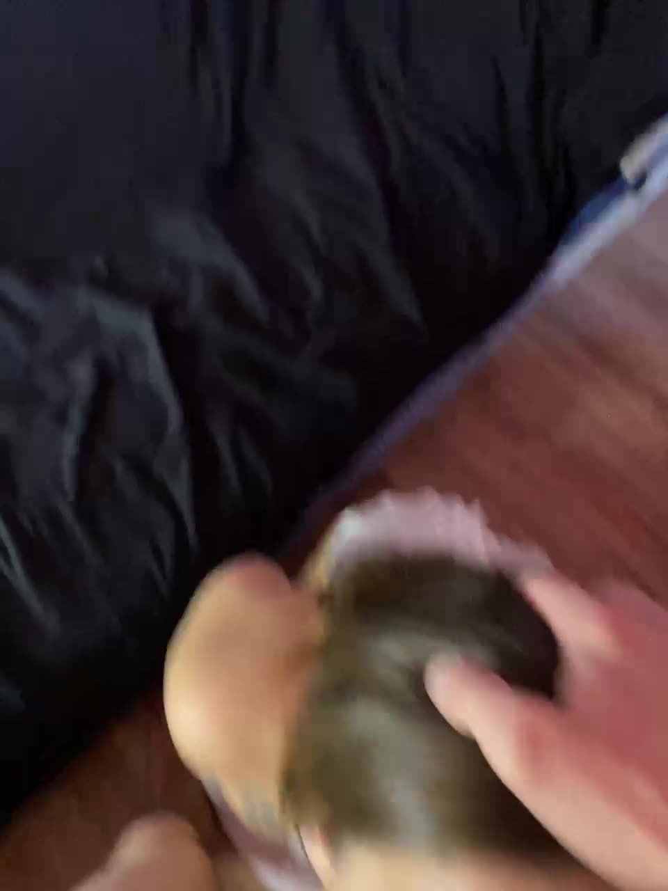 View or download file kristallik_1 on 2024-11-22 from bongacams