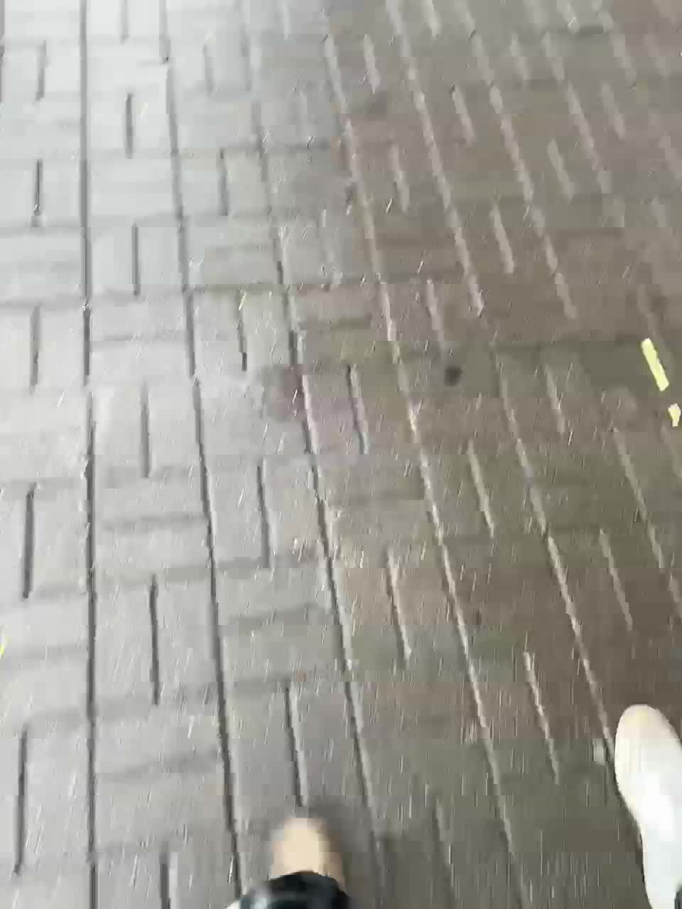 View or download file lissazmark2 on 2024-11-24 from bongacams