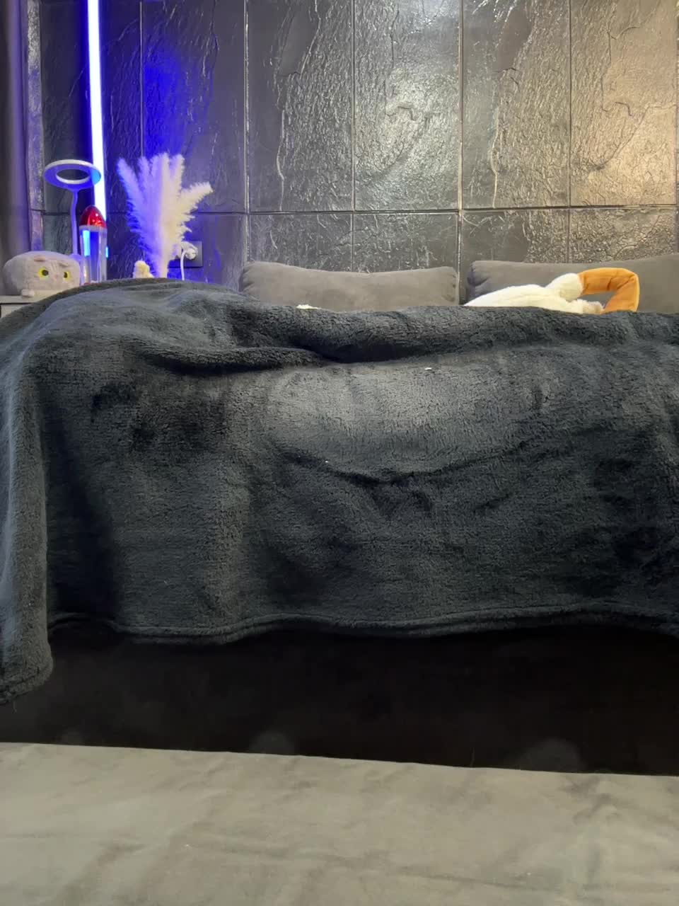 View or download file vero19nika on 2024-11-24 from bongacams