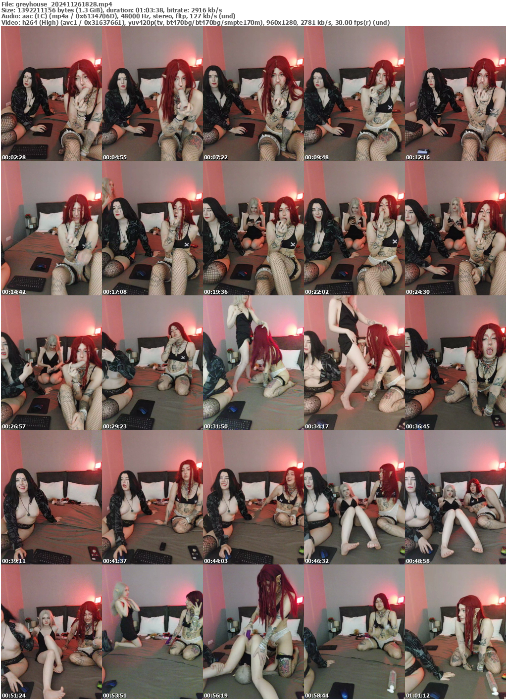 Preview thumb from greyhouse on 2024-11-26 @ bongacams