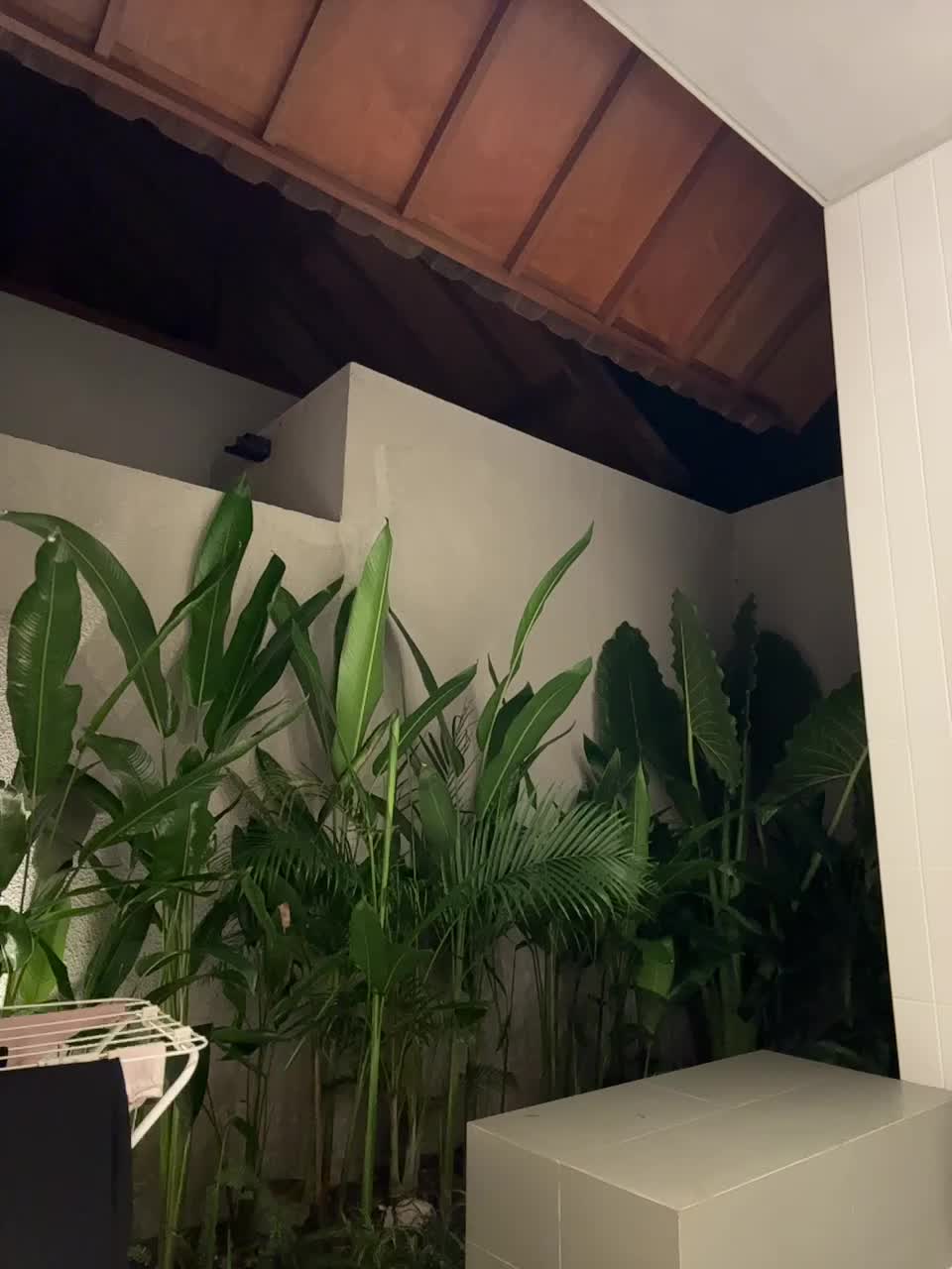 View or download file meow_777 on 2024-11-26 from bongacams