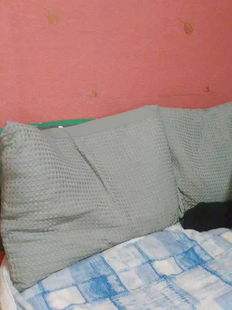 View or download file normanmash on 2024-11-26 from bongacams