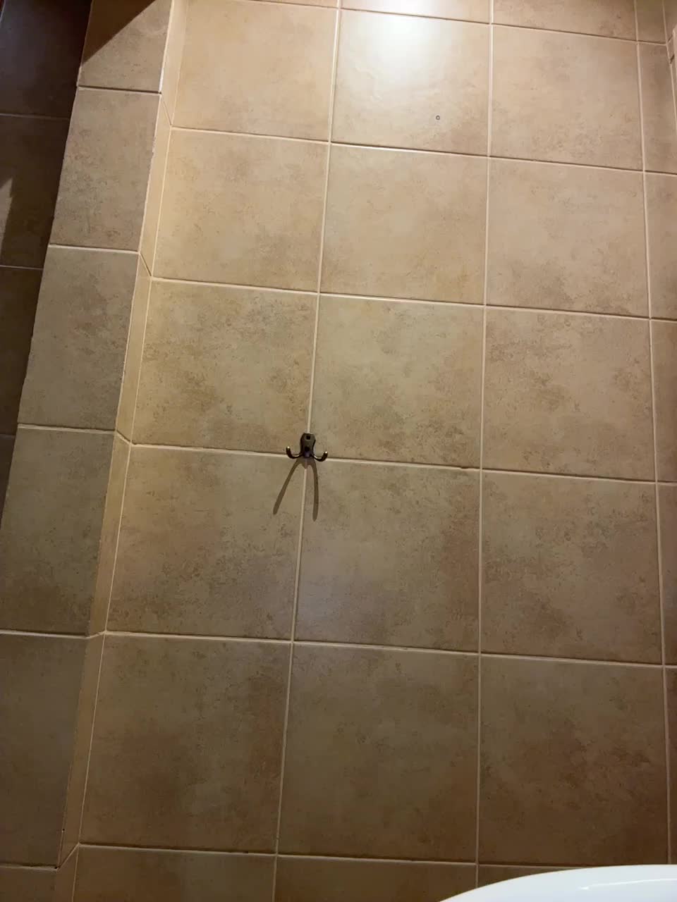 View or download file tokionajoe on 2024-11-26 from bongacams