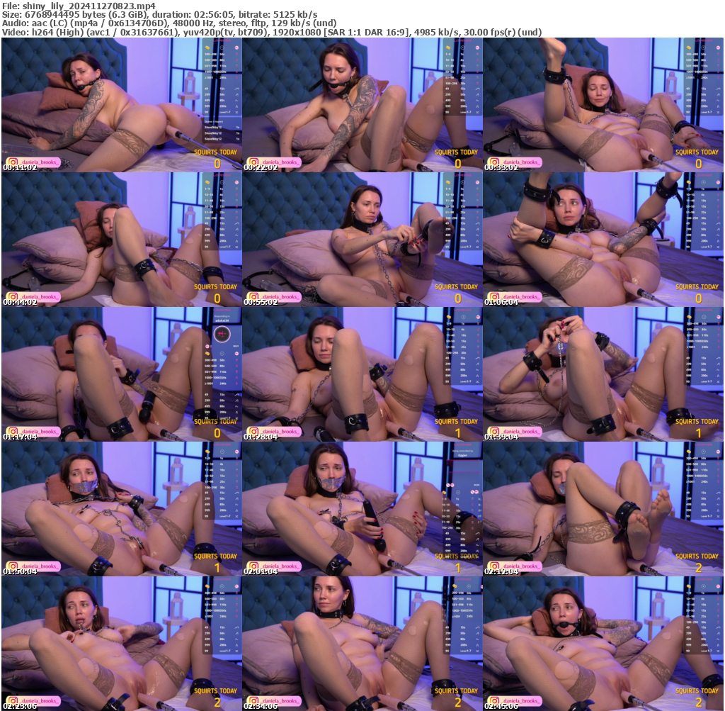 Preview thumb from shiny_lily on 2024-11-27 @ bongacams