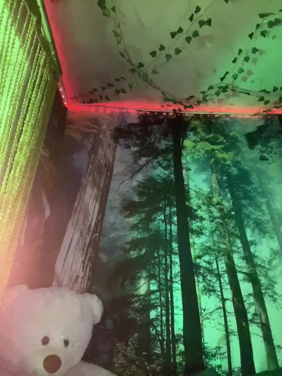 View or download file _summer_ on 2024-11-28 from bongacams