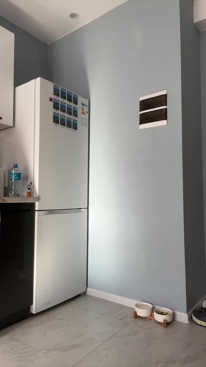 View or download file puppy19 on 2024-11-28 from Bongacams