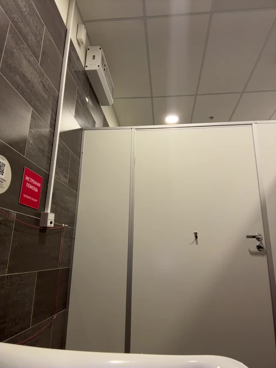 View or download file tokionajoe on 2024-11-28 from bongacams