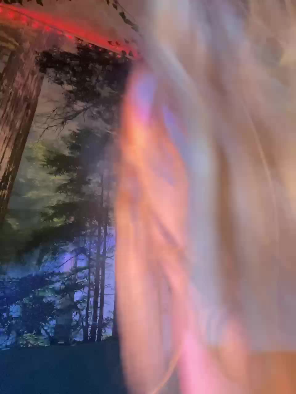 View or download file _summer_ on 2024-11-29 from bongacams