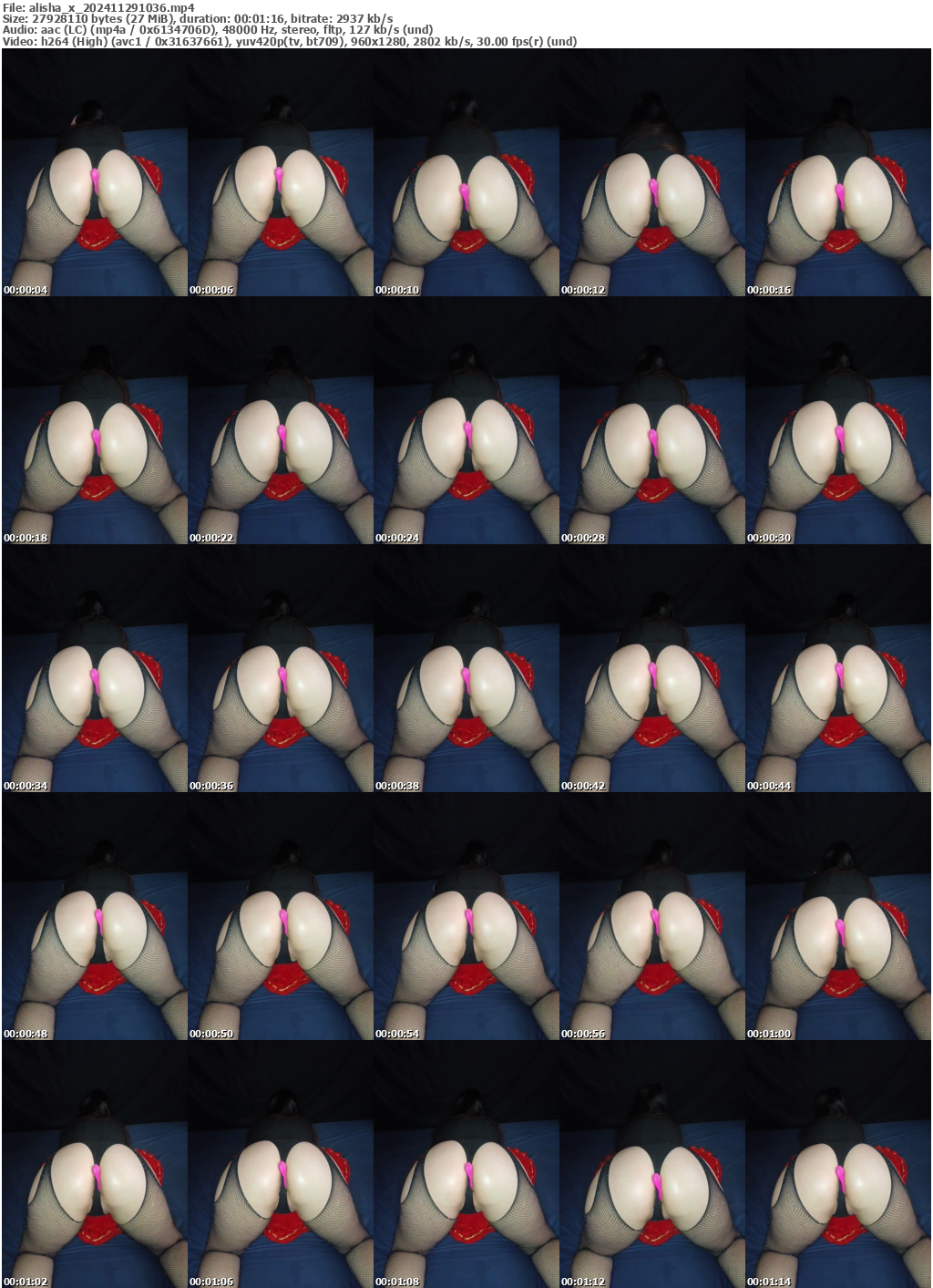 Preview thumb from alisha_x on 2024-11-29 @ bongacams