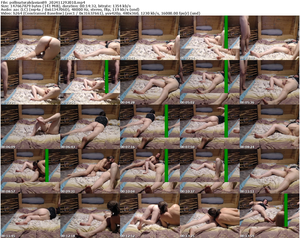 Preview thumb from pollinaturalslavian89 on 2024-11-29 @ bongacams