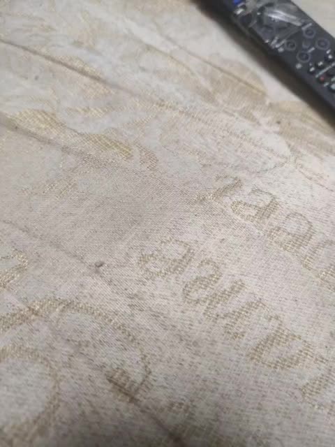 View or download file johnyfenomet2 on 2024-11-30 from bongacams