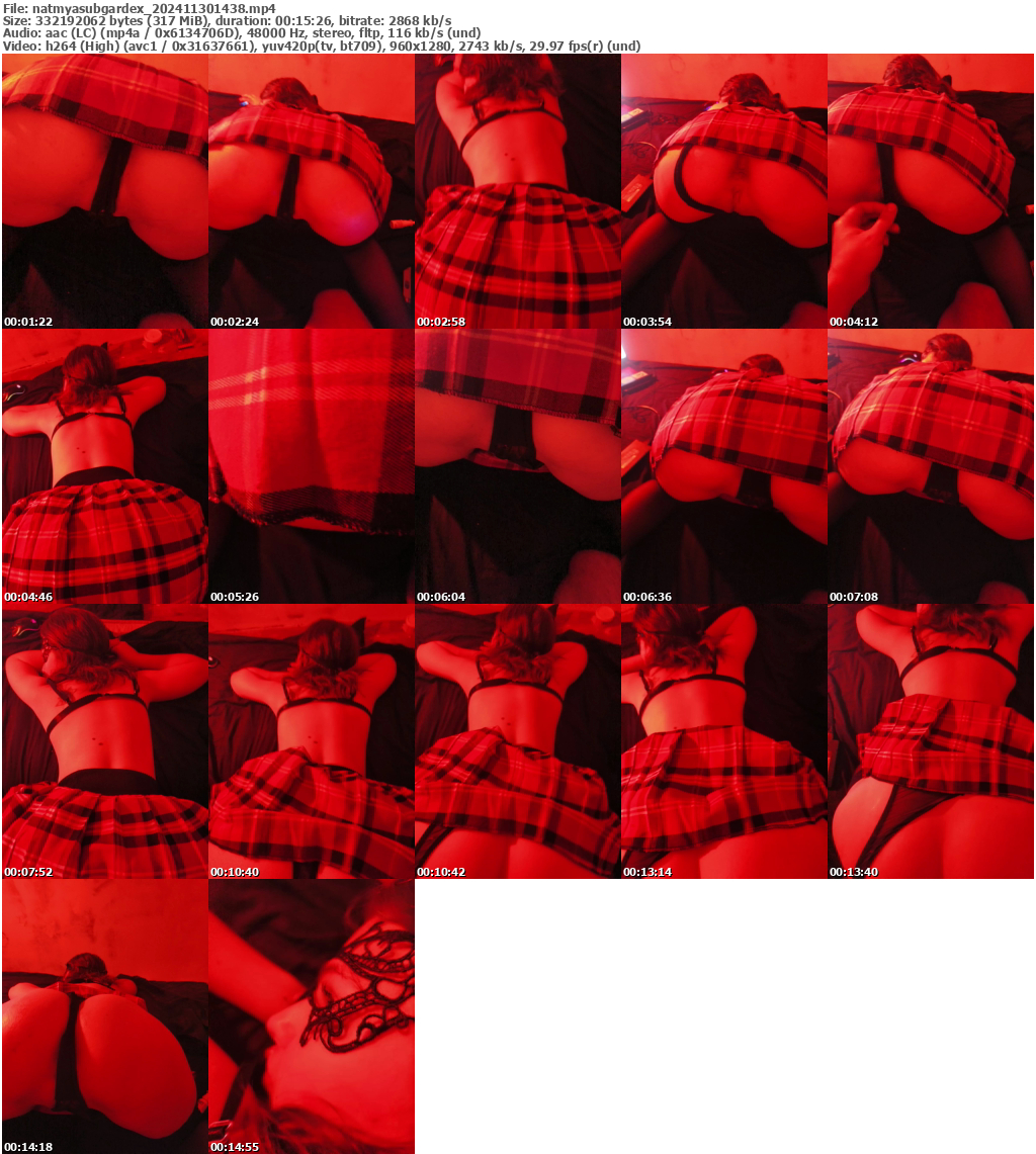 Preview thumb from natmyasubgardex on 2024-11-30 @ bongacams