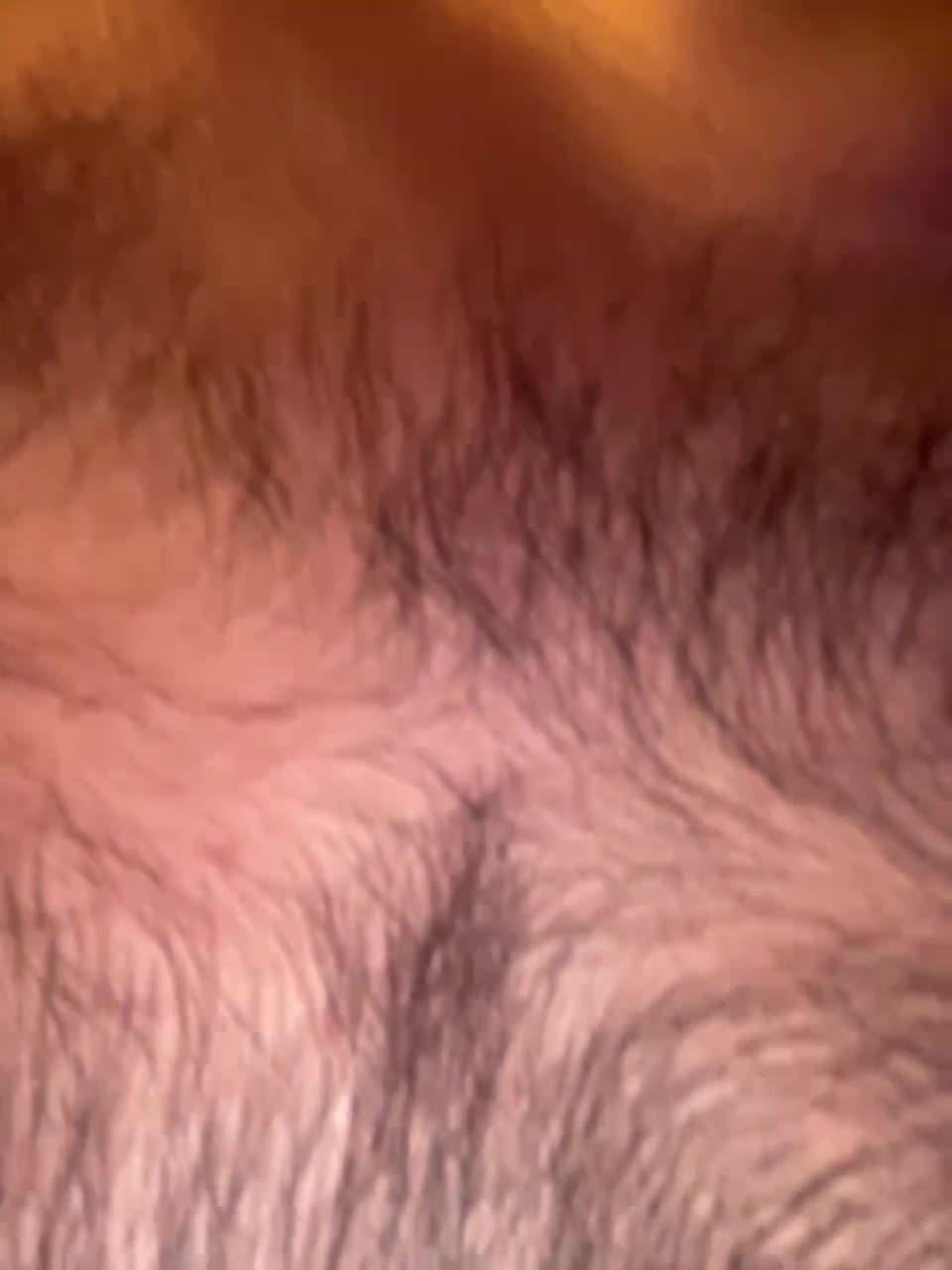 View or download file honeycouple on 2024-12-01 from bongacams