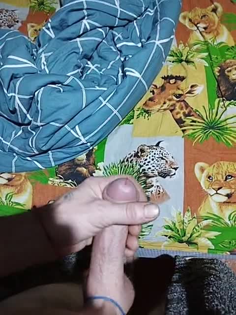 View or download file qwersad33 on 2024-12-01 from bongacams