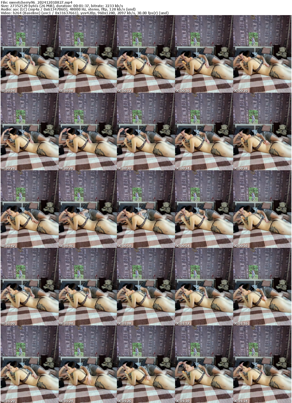 Preview thumb from sweetcherry96 on 2024-12-01 @ bongacams