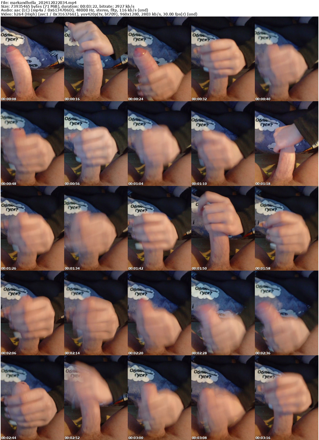 Preview thumb from markandhella on 2024-12-02 @ bongacams