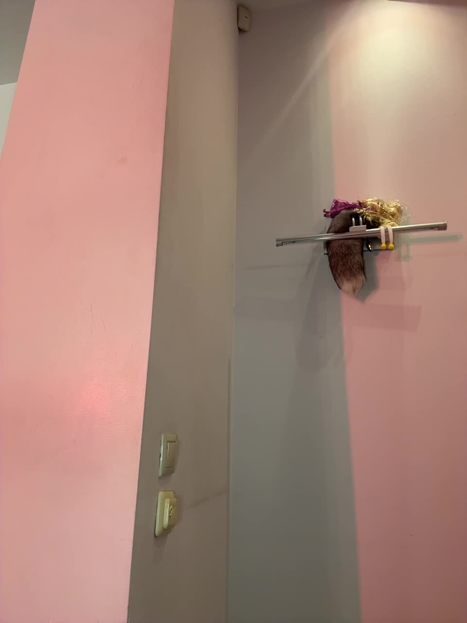 View or download file monikayyy on 2024-12-02 from bongacams