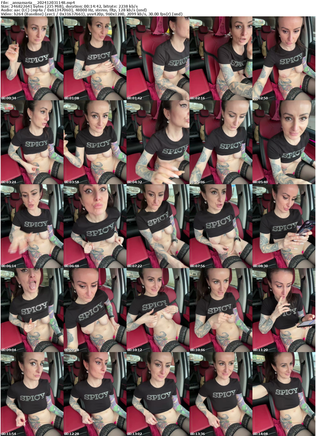 Preview thumb from _annamaria_ on 2024-12-03 @ bongacams