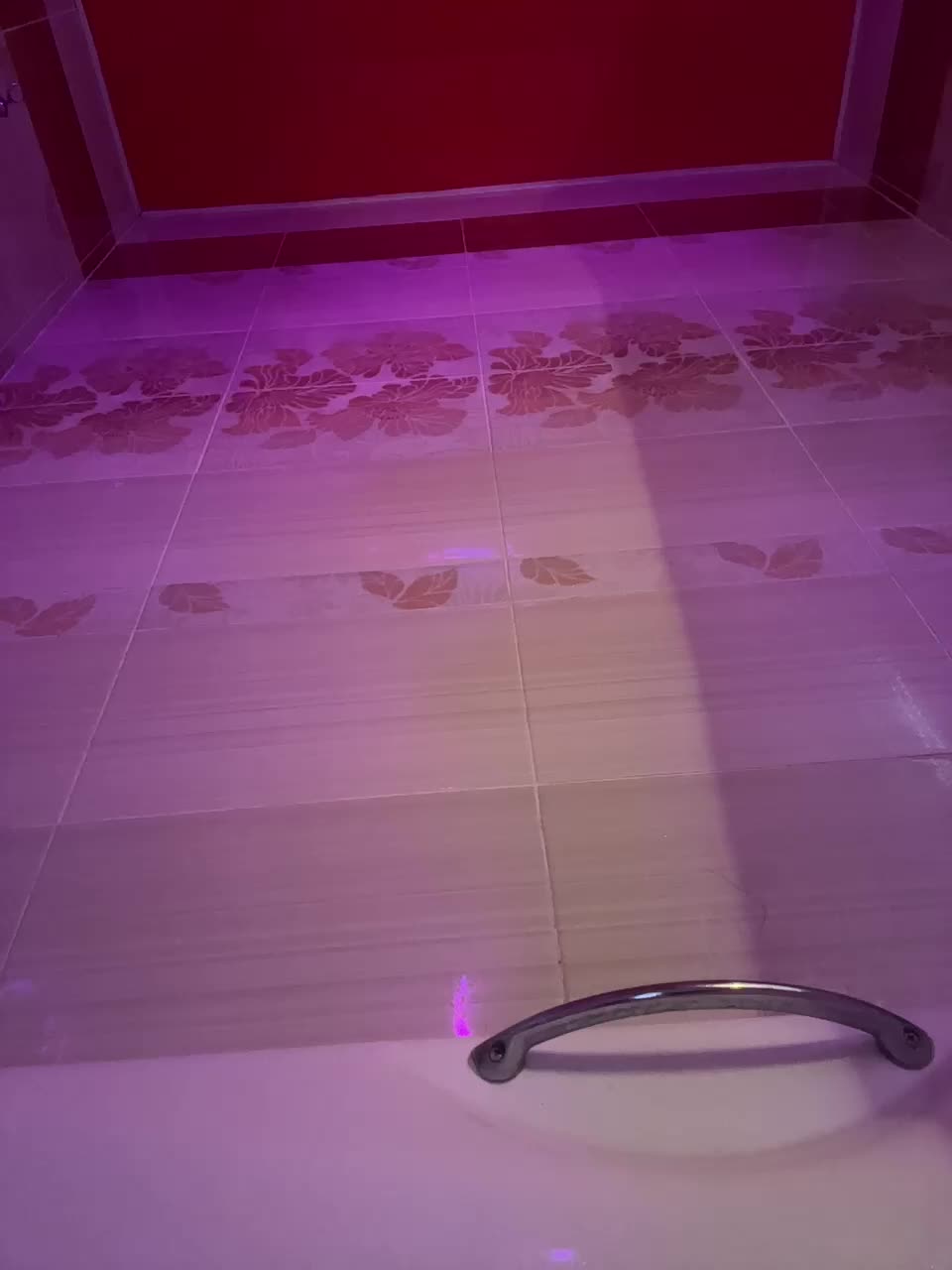 View or download file miamimur on 2024-12-04 from bongacams