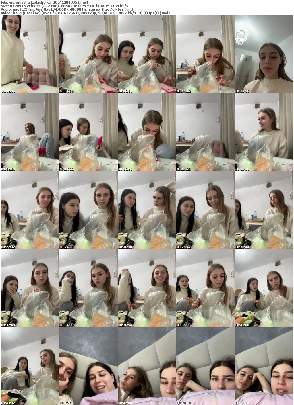 Preview thumb from vibromashulkadashulka on 2024-12-04 @ bongacams