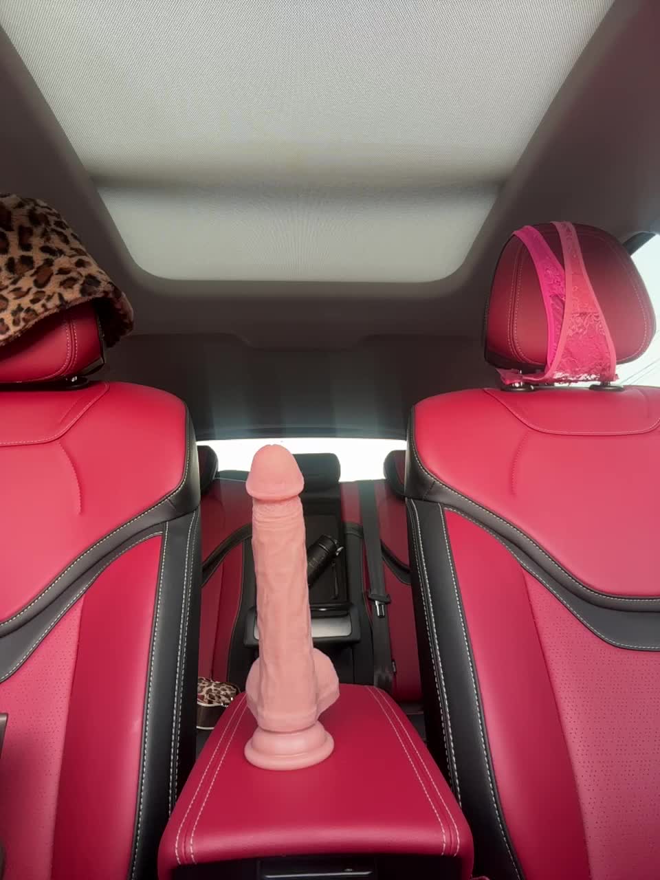 View or download file _annamaria_ on 2024-12-05 from bongacams