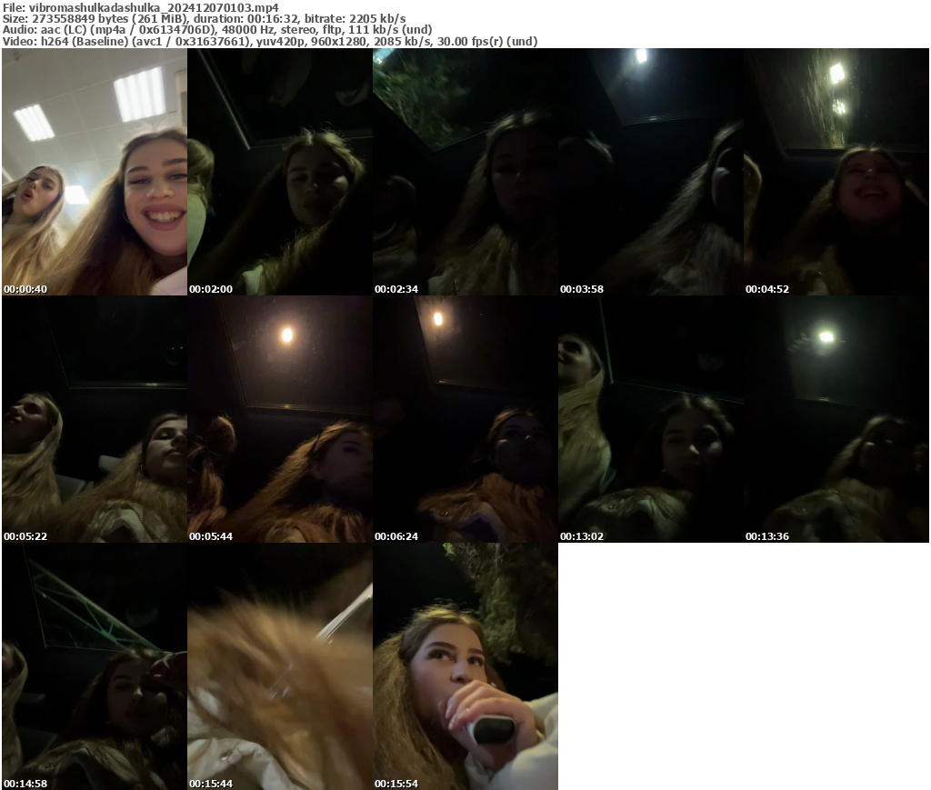 Preview thumb from vibromashulkadashulka on 2024-12-07 @ bongacams